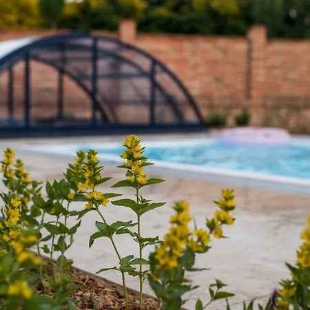 Pod Humnama 4* Krumvir